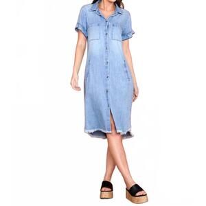 NEW BILLY T ruffle dress in denim